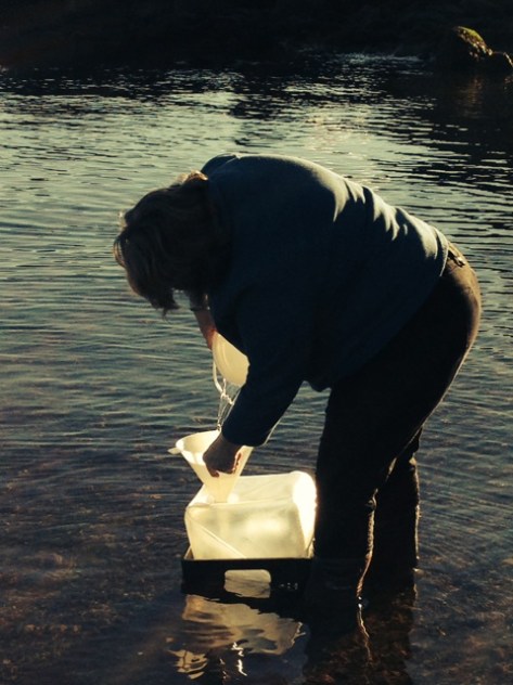 PowellRiver_Nov2014_12381