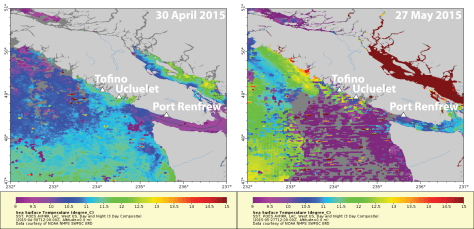 30April-27May2015 SST-01