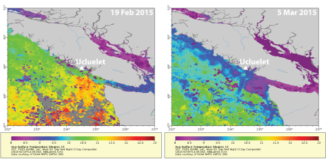 Feb-Mar Upwelling