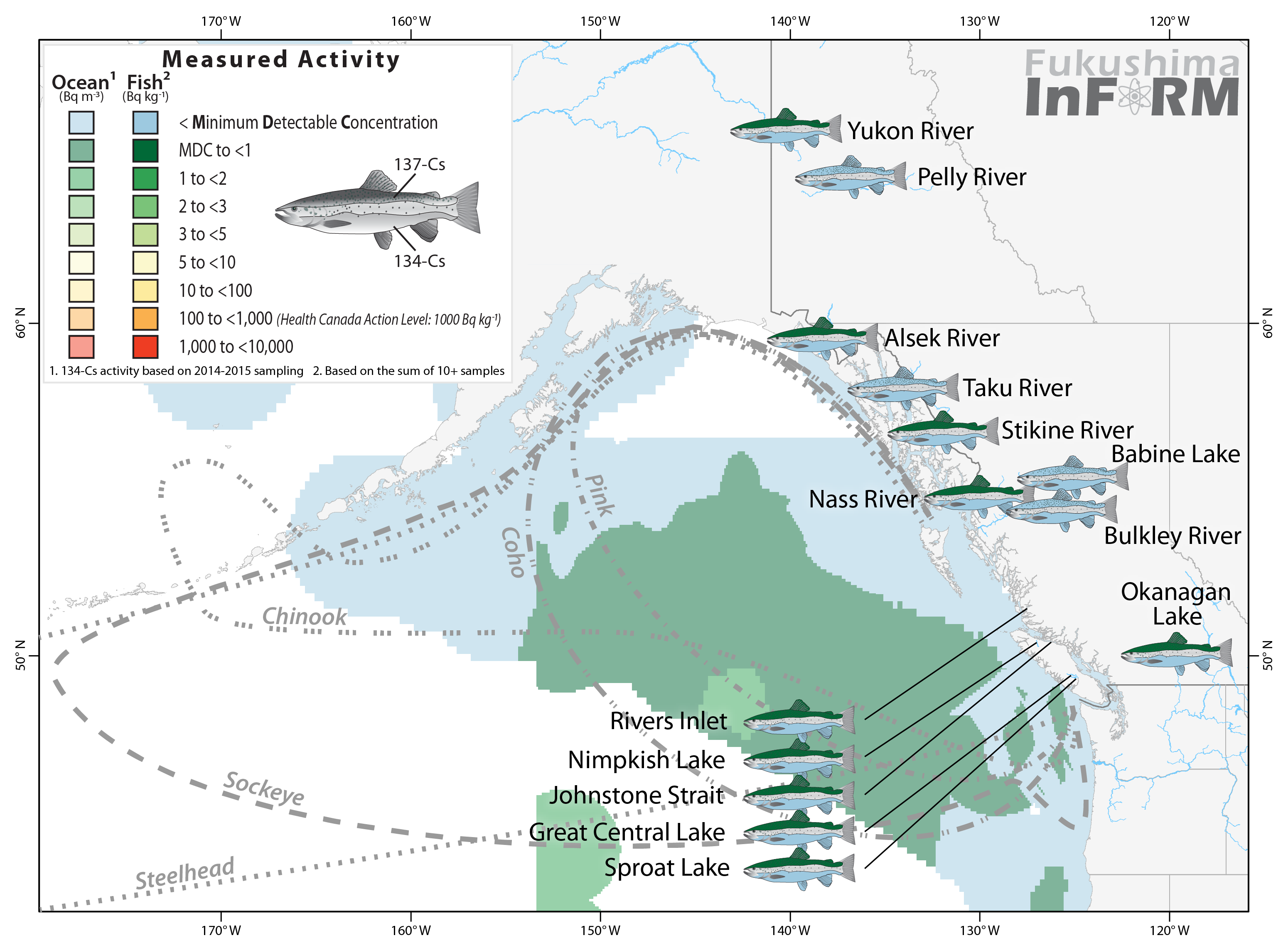 InFORM salmon 2015 river-01