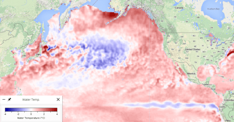 Satellite measure of sea surface temperature anomaly, or difference from normal during May 2016. (Source NANOOS)