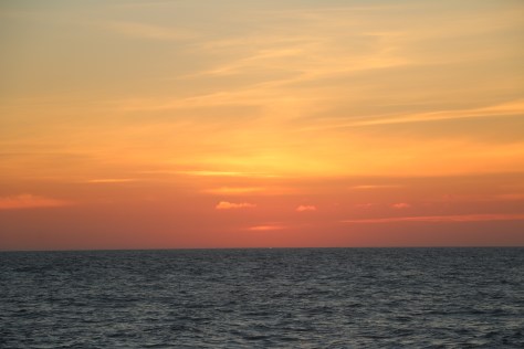 The Green Flash from Line P!!! (Look carefully in the center for the green dot. This only happens on very clear evenings where there is no haze on the horizon and is the last instant of the day when the sun shines through the surface ocean.) (Credit: Sara Zeidan)