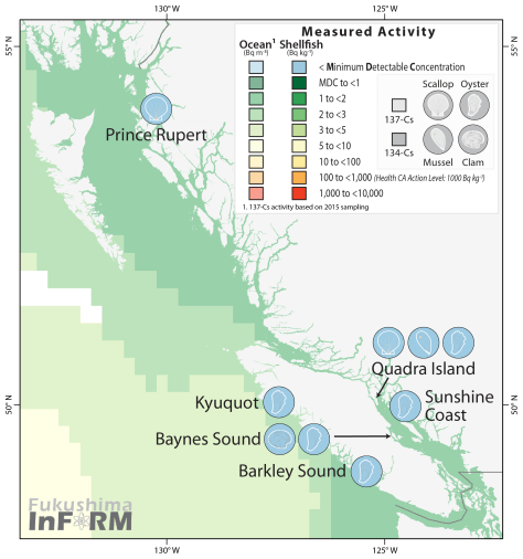 Results from 2016 shellfish monitoring show no 134-Cs or 137-Cs contamination in shellfish tissues. 