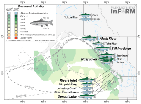InFORM Salmon 2016 river - Sep17-01
